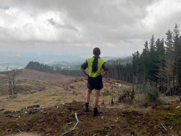 Forestry Management